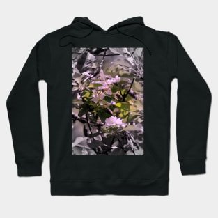 apple blossoms 12 Hoodie